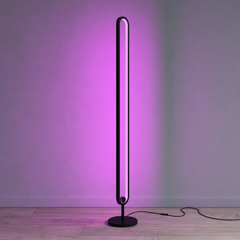 RGB Floor Lamp