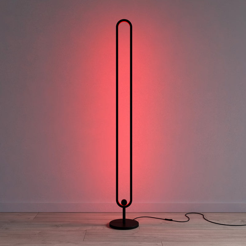 RGB Floor Lamp