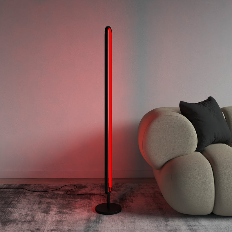 RGB Floor Lamp