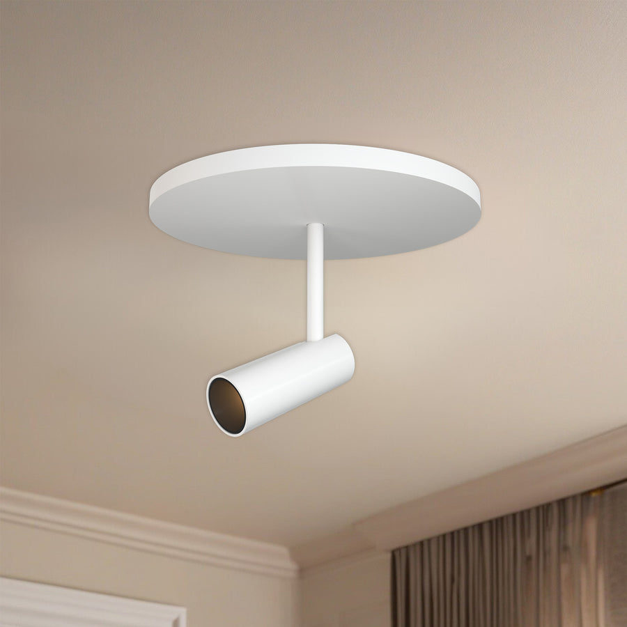 Downey Flush Mount