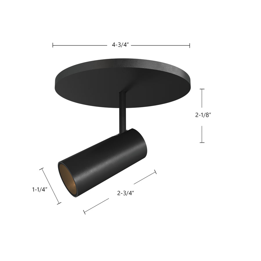Downey Flush Mount