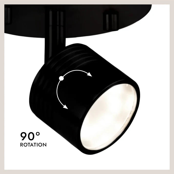 Lyra 6-in Track Light