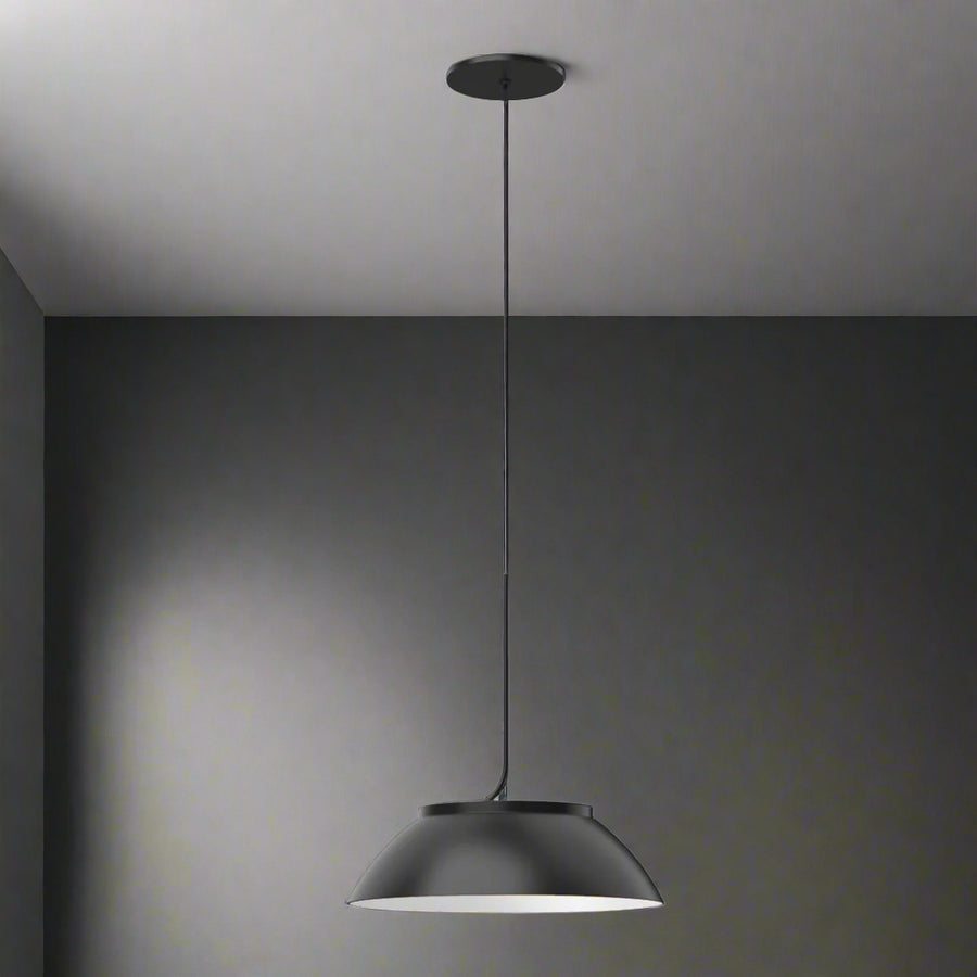 Magellan 12-in Pendant