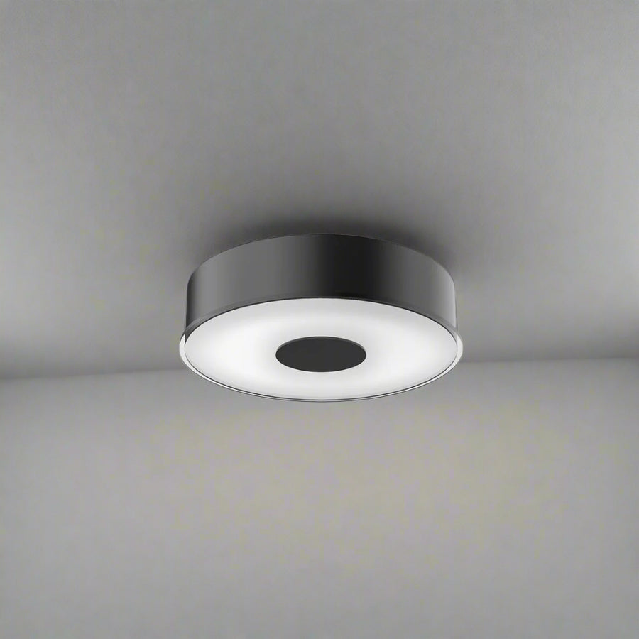 Parker Flush Mount