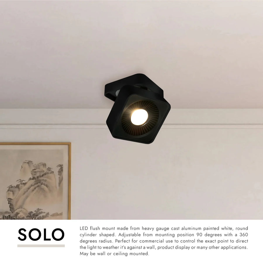Solo 5-in Flush Mount