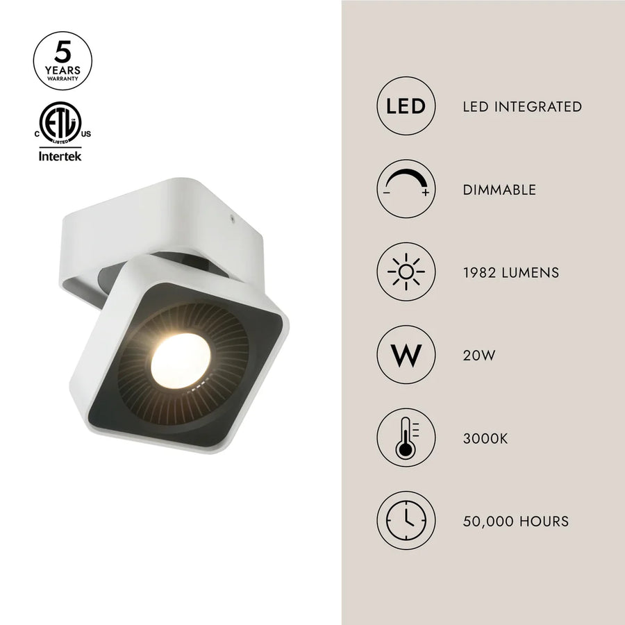 Solo 5-in Flush Mount
