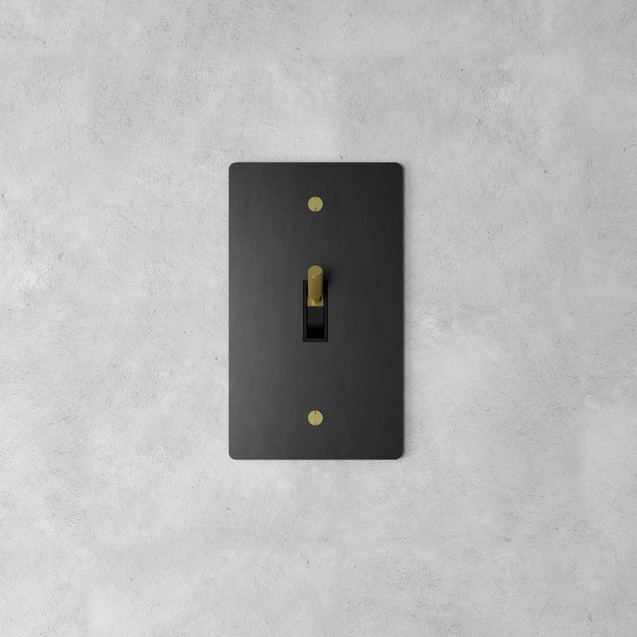 Brass Toggle Switch