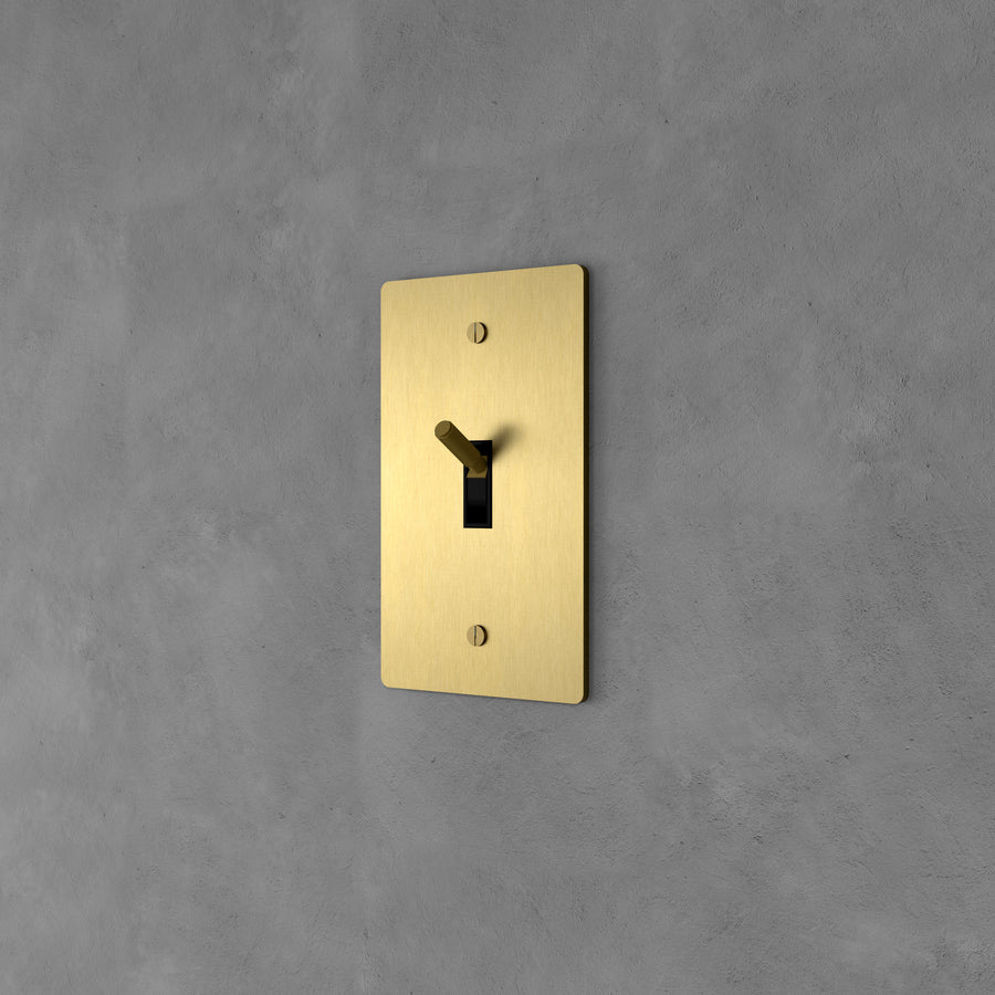 Brass Toggle Switch